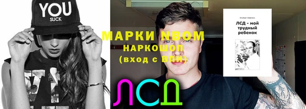 тгк Белокуриха