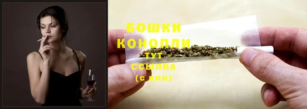 тгк Белокуриха