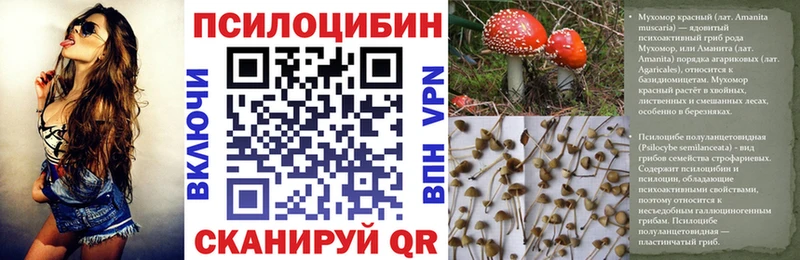 Псилоцибиновые грибы Magic Shrooms МЕГА рабочий сайт Химки